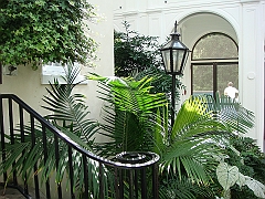 120 Longwood Gardens [2008 August 23]